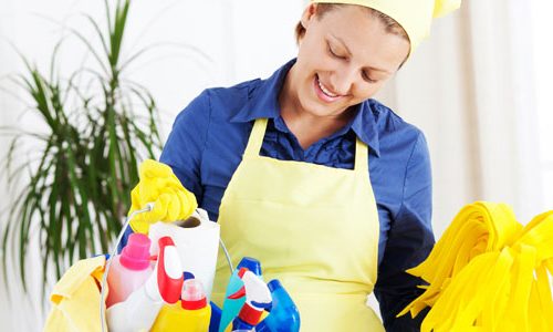 Domestic Housekeeping Beaumaris